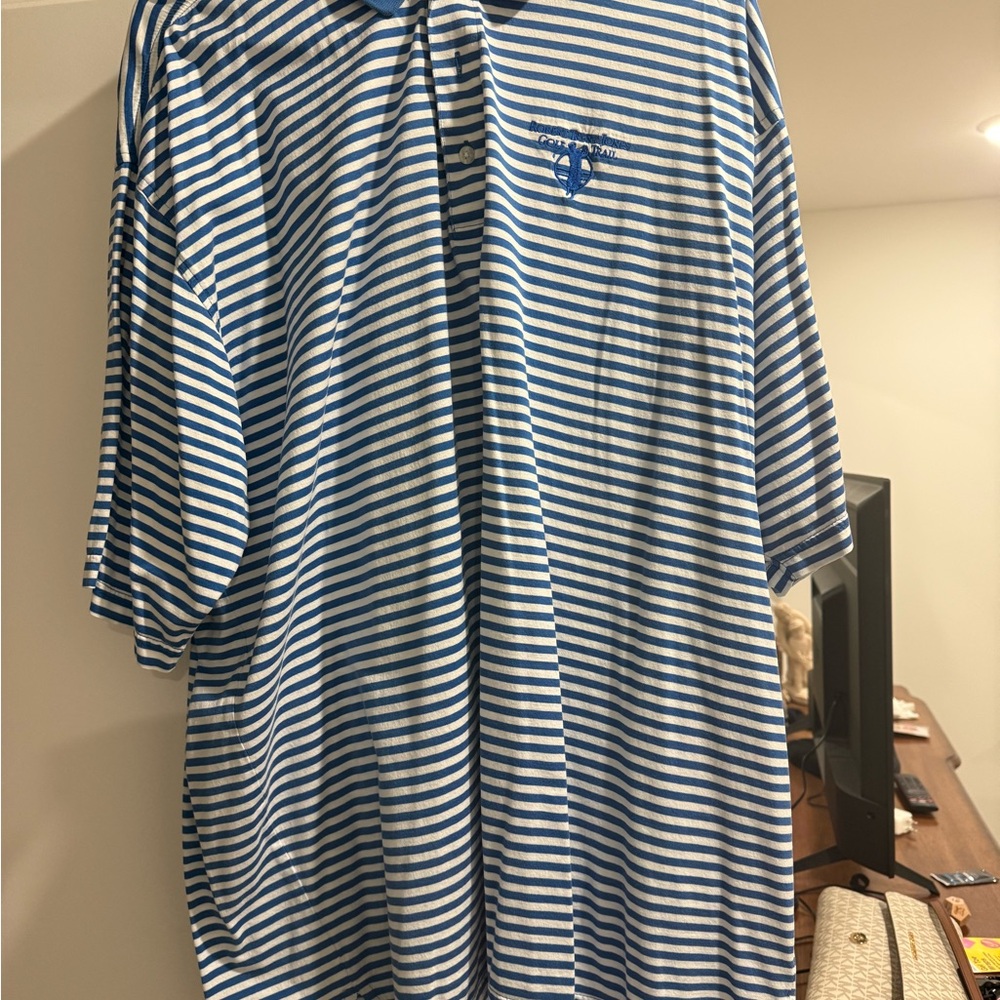 Classic Blue Striped Button Down Shirt